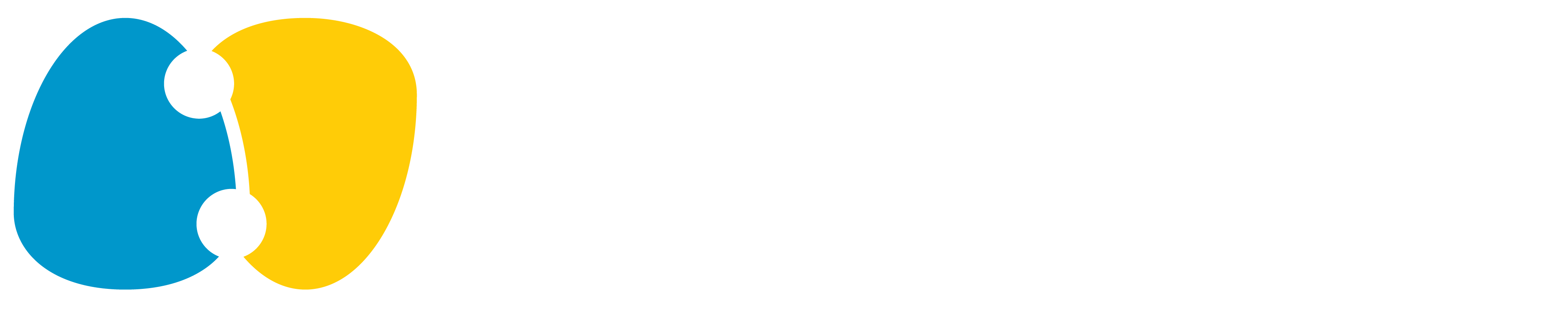 Runtime Verification Logo